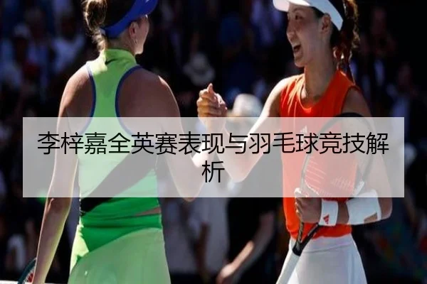 李梓嘉全英赛表现与羽毛球竞技解析 - leyu